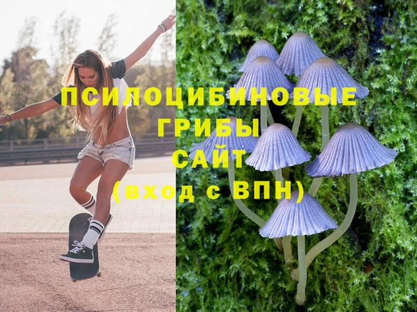 герыч Алексеевка